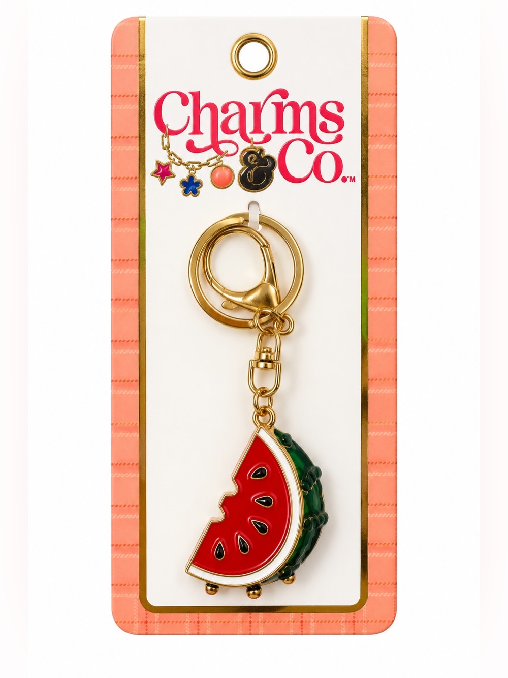 Charm & co watermelon bag charm